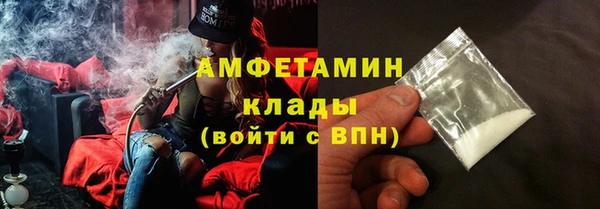 молекула духа Богданович