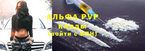 дживик Богородск