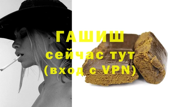 молекула духа Богданович