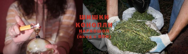 ПСИЛОЦИБИНОВЫЕ ГРИБЫ Богородицк