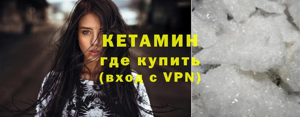 молекула духа Богданович