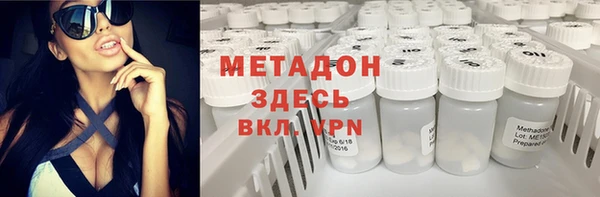 молекула духа Богданович