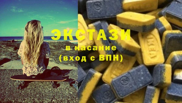 дживик Богородск