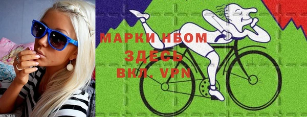 дживик Богородск