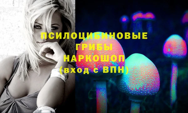 ГАЛЛЮЦИНОГЕННЫЕ ГРИБЫ Белокуриха