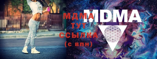 молекула духа Богданович