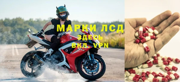 ПСИЛОЦИБИНОВЫЕ ГРИБЫ Богородицк