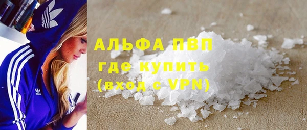 молекула духа Богданович