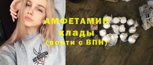 дживик Богородск