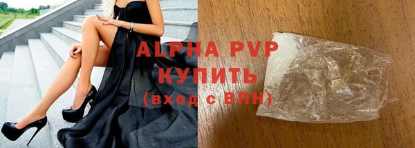 молекула духа Богданович