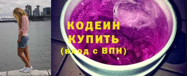 молекула духа Богданович